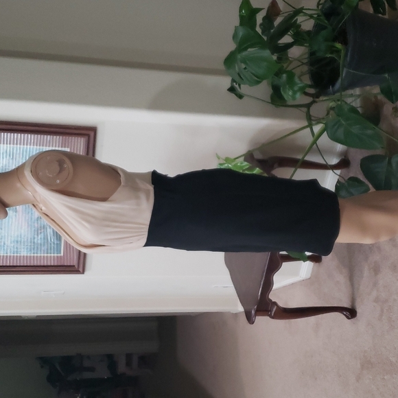 Red Clover L chiffon deep vneck crisscross back ribbed skirt Goldilocks length - Picture 4 of 9